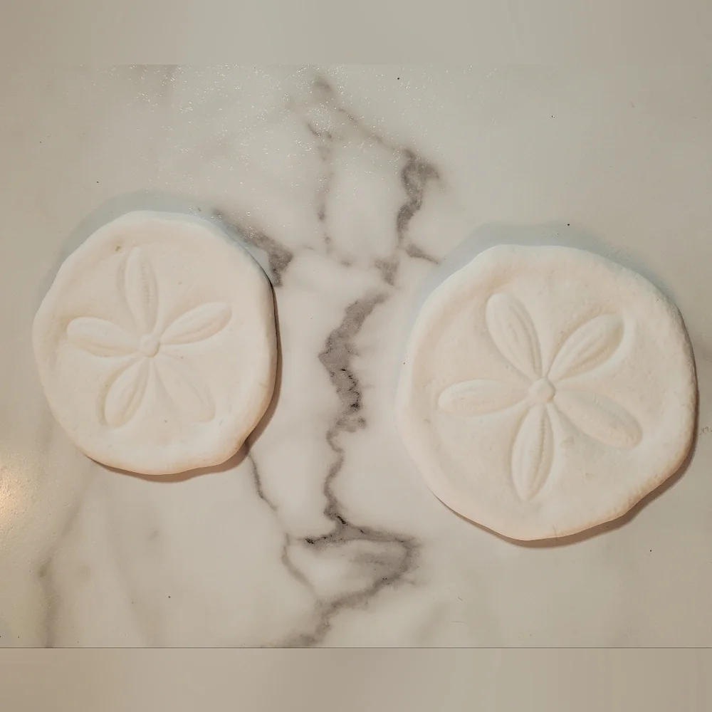 Kohls sand dollar